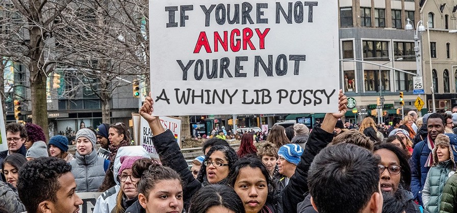 Not 100% accurate; lots of angry Conservatives too - meme
