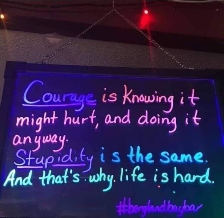 Courage and stupidity - meme