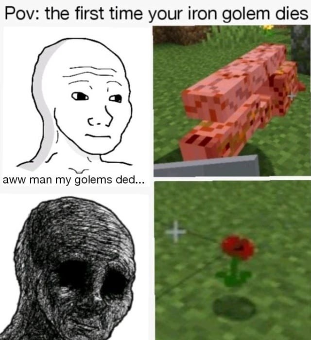 RIP my first iron golem, you protected us until the lag took you - meme