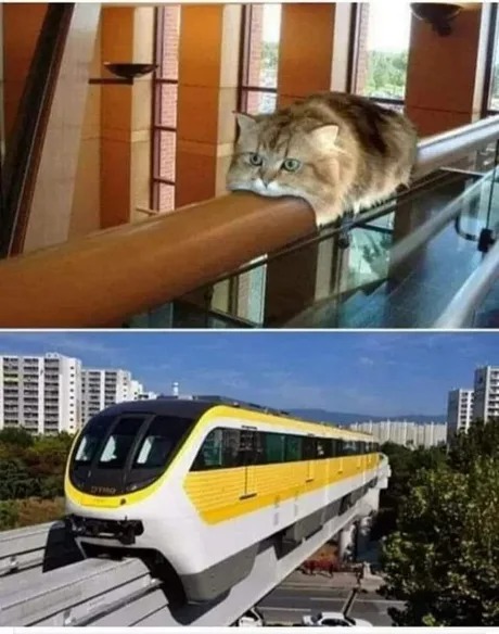 Cat aerodynamics - meme
