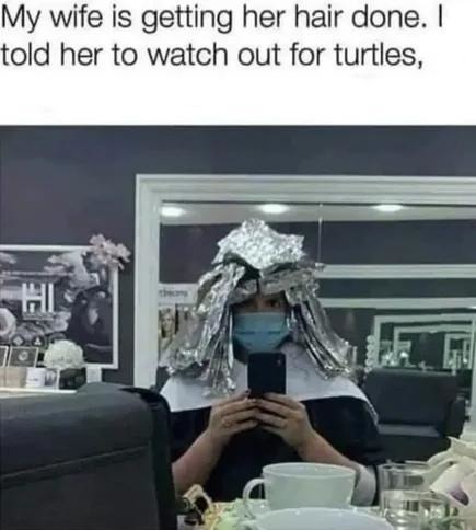 Told my wife to dodge turtles at the salon. She didn't laugh - meme