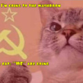 Socialist Kitty
