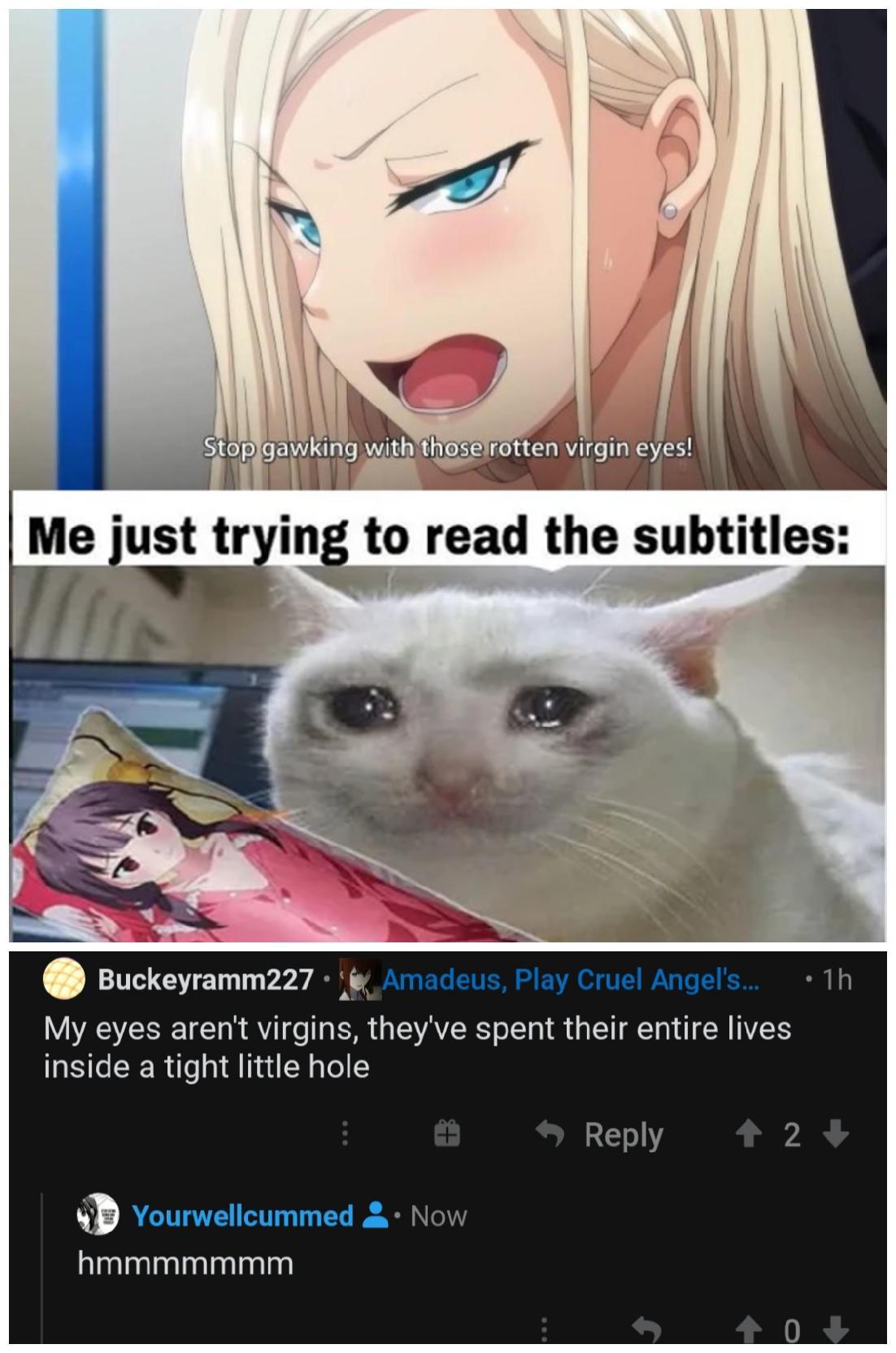 Jeez guys, stop looking at my meme with those lustful eyes