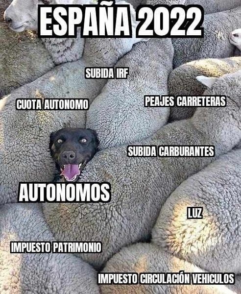 Autónomos en España 2022 - meme