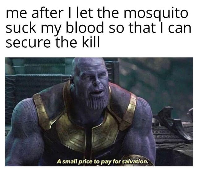 Mosquito - meme