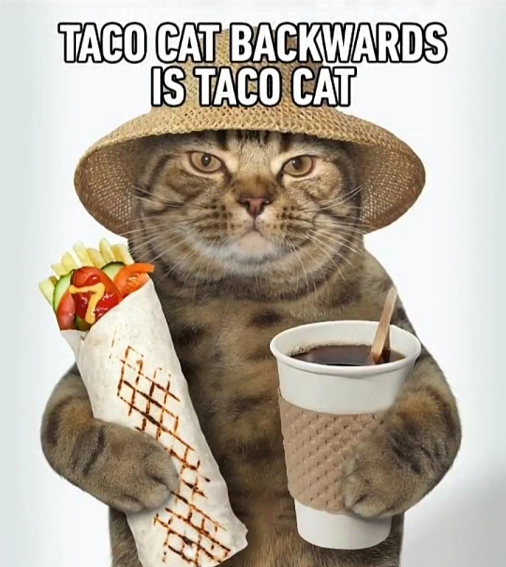 KEBAB! BURRITO! - meme