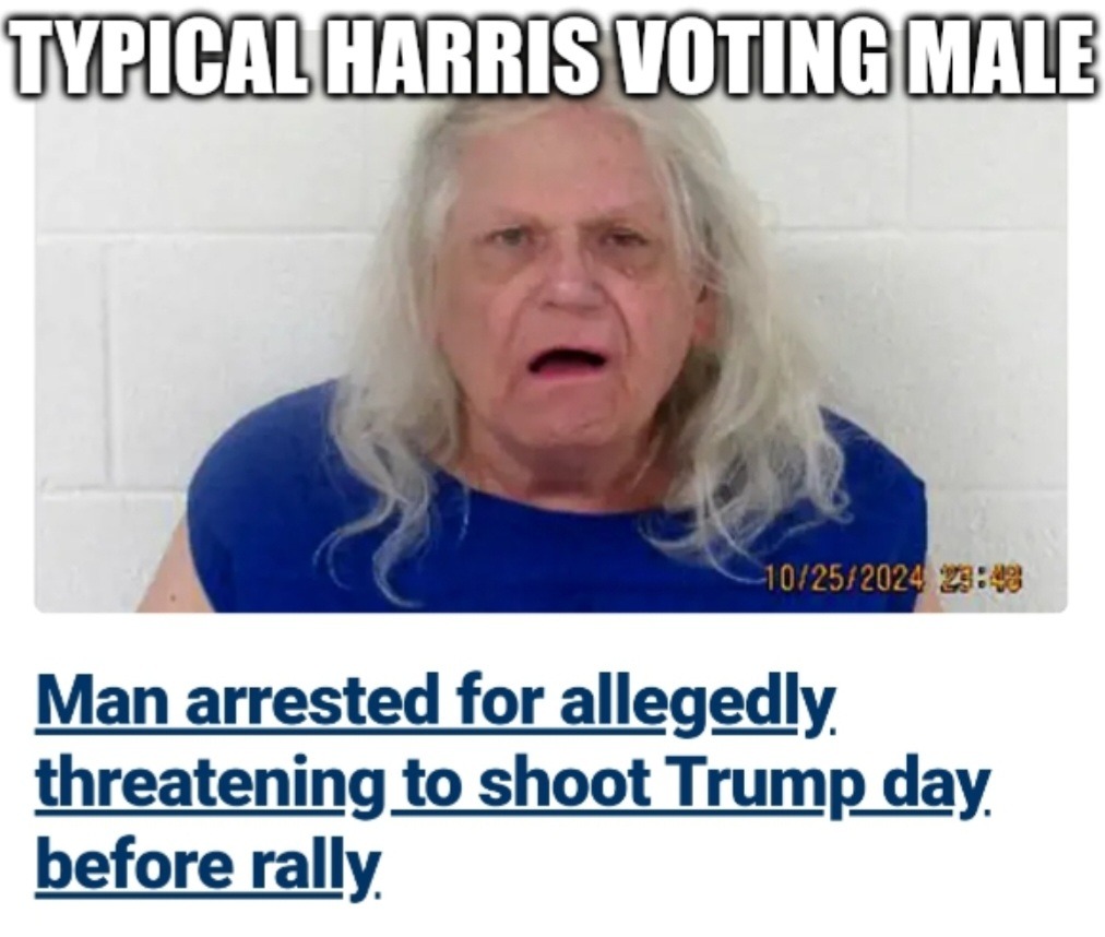 Dongs in an assassin - meme