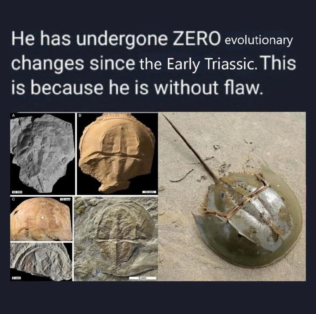 He is HIM - meme