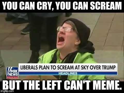 The left can't meme