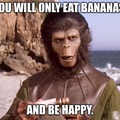 You will only eat Bananas and be Happy.