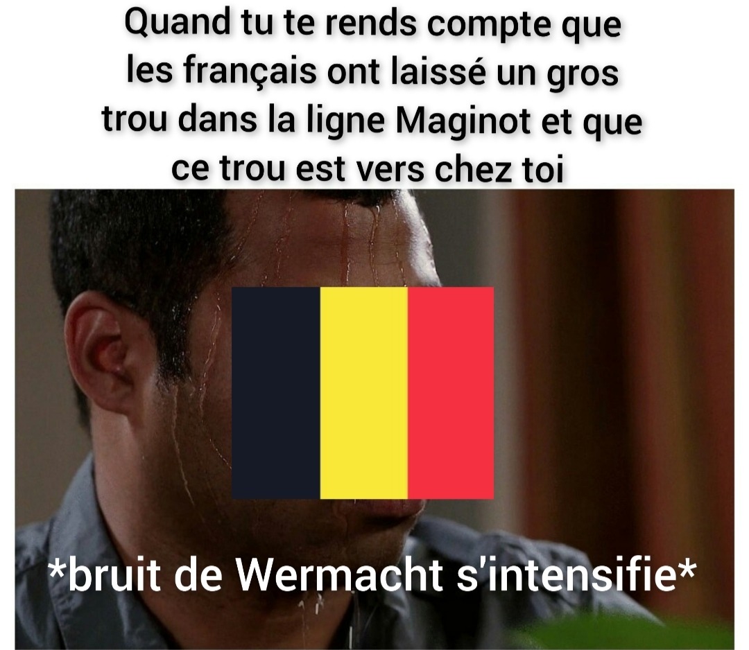 Pauvres belges - meme