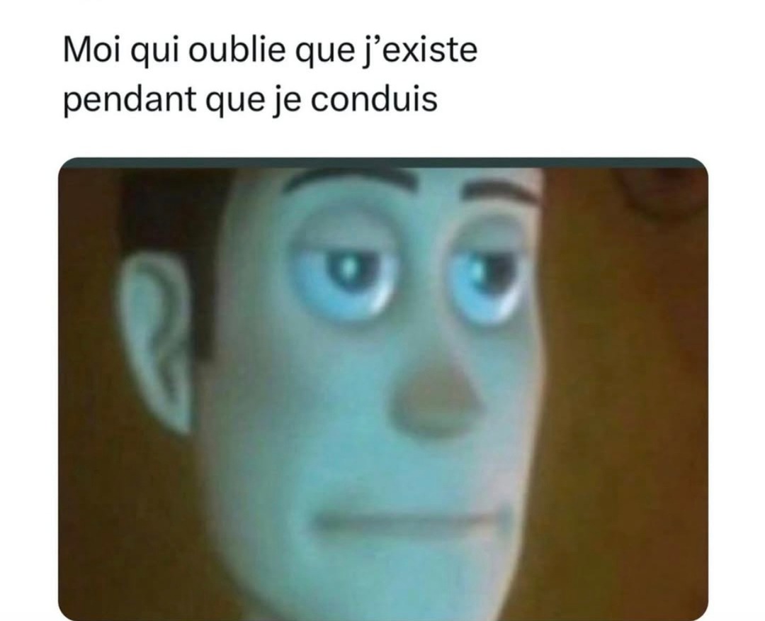 moi au volant mode pilote automatique, j’oublie que j’existe - meme