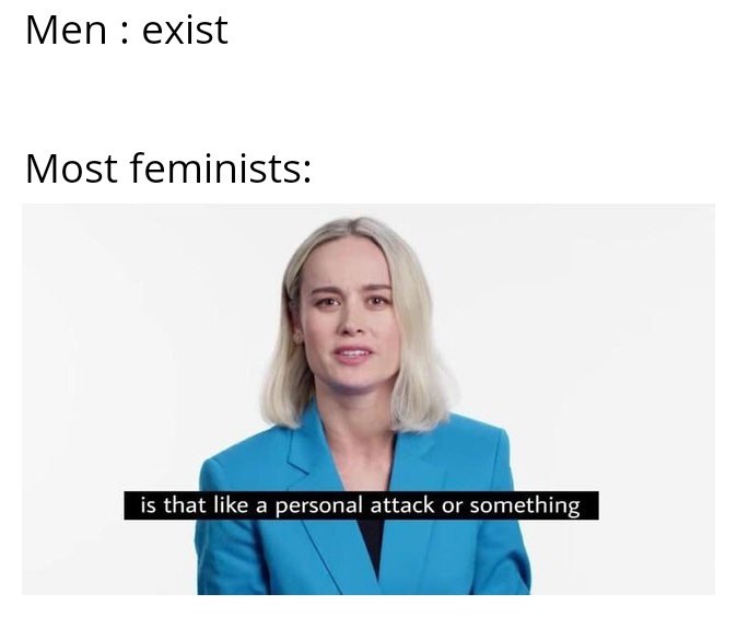 There are few decent femminists - meme