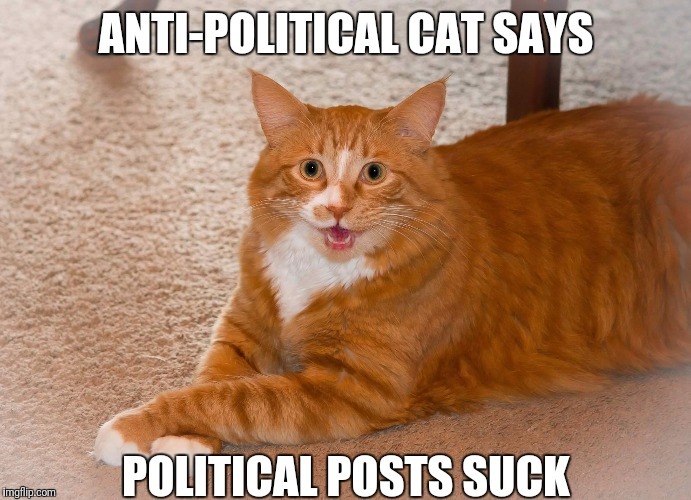 Seriously, though. No one cares about you're political views. Keep Memedroid clean of BS.