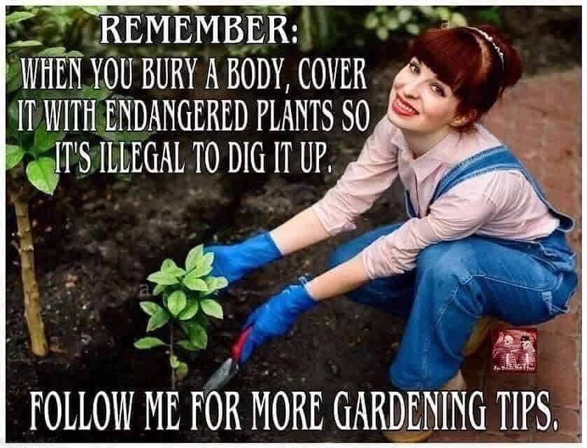 Organic fertilizer, unless it's the body of Jocelyn Wildenstein. In that case, just use plastic plants. - meme