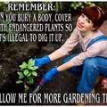 Organic fertilizer, unless it's the body of Jocelyn Wildenstein. In that case, just use plastic plants.