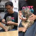 Look at this happy kitty getting her nails done.