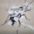 NooOOOo0 jugador de hollow knight, no te folles esa cucaracha :(