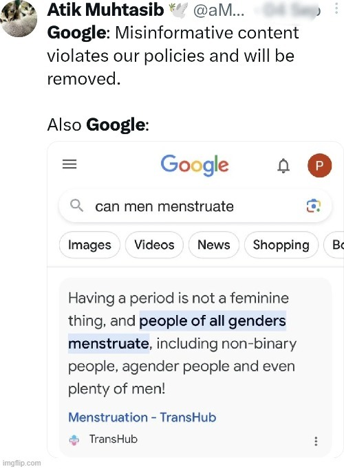 Google spreading misinformation - meme