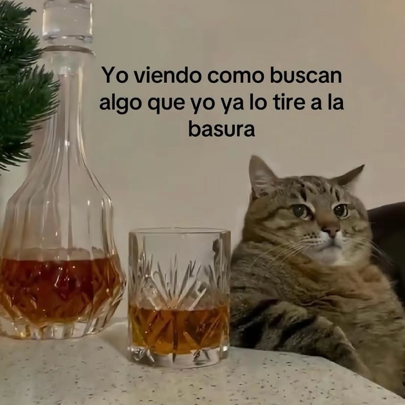 Yo viendo cómo buscan algo que ya tiré - meme