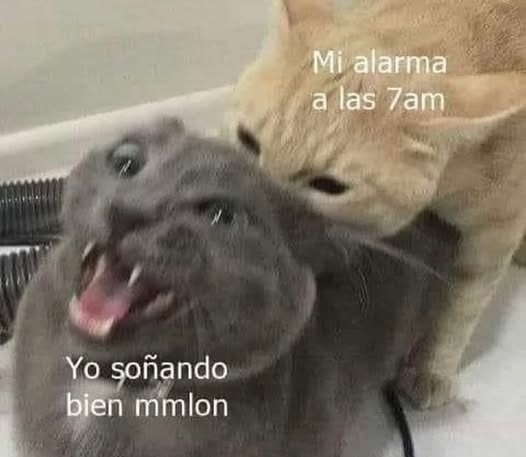 Mi alarma a las 7am vs Yo soñando bien mamalón - meme