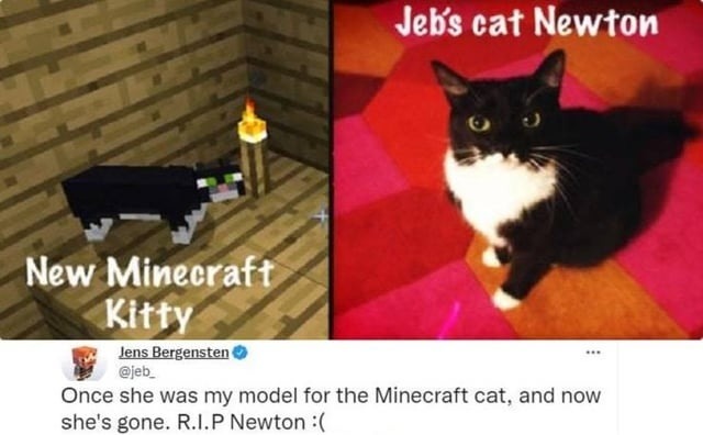 Newton the Minecraft cat has left the realm. RIP legend - meme