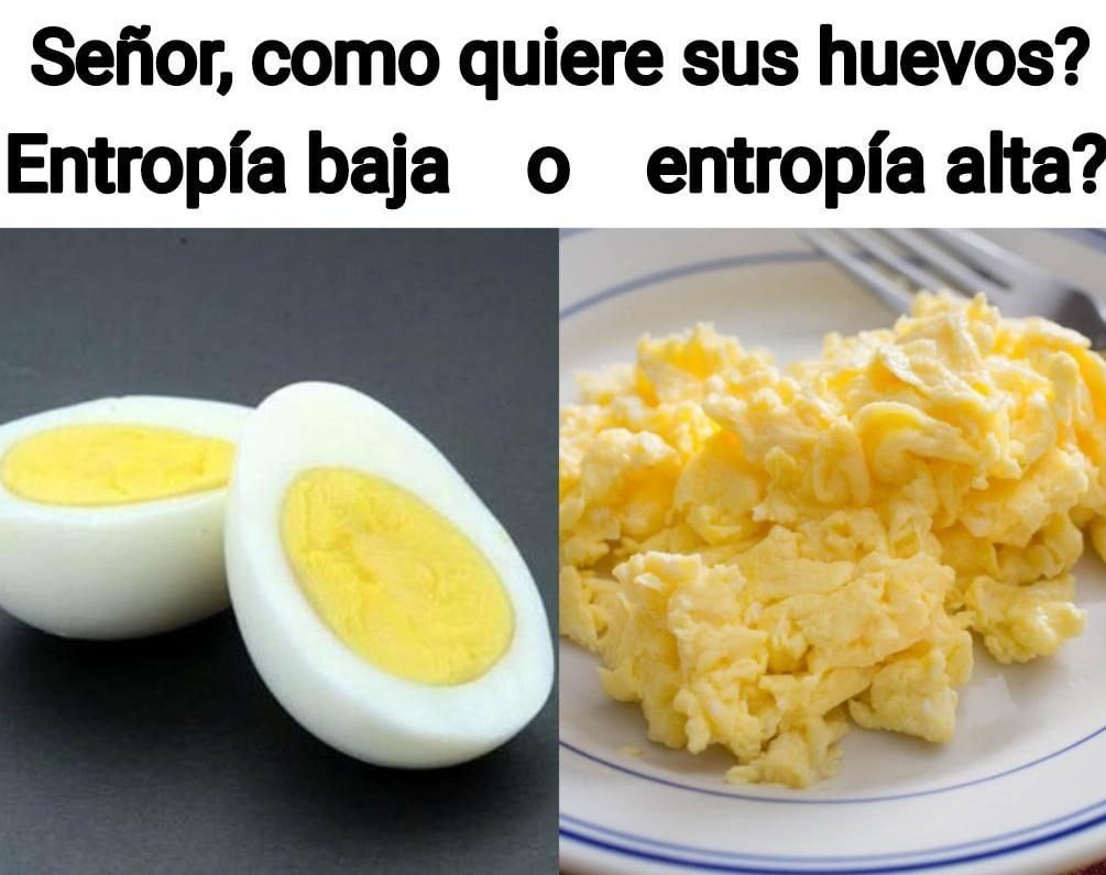 Cómo quiere sus huevos joven, con entropía baja o alta? - meme