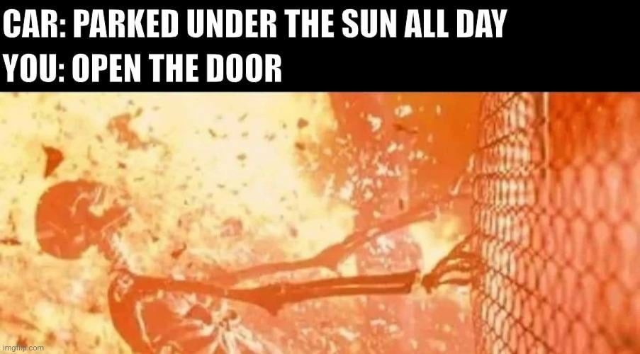 Car: Parked in the sun all day. Me: *opens door* Why is it like a sauna in here? - meme
