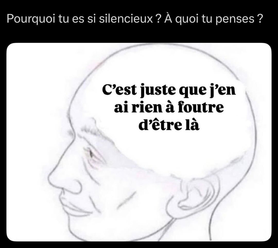 Pourquoi je suis silencieux ? Parce que j’en ai rien à foutre d’être là - meme