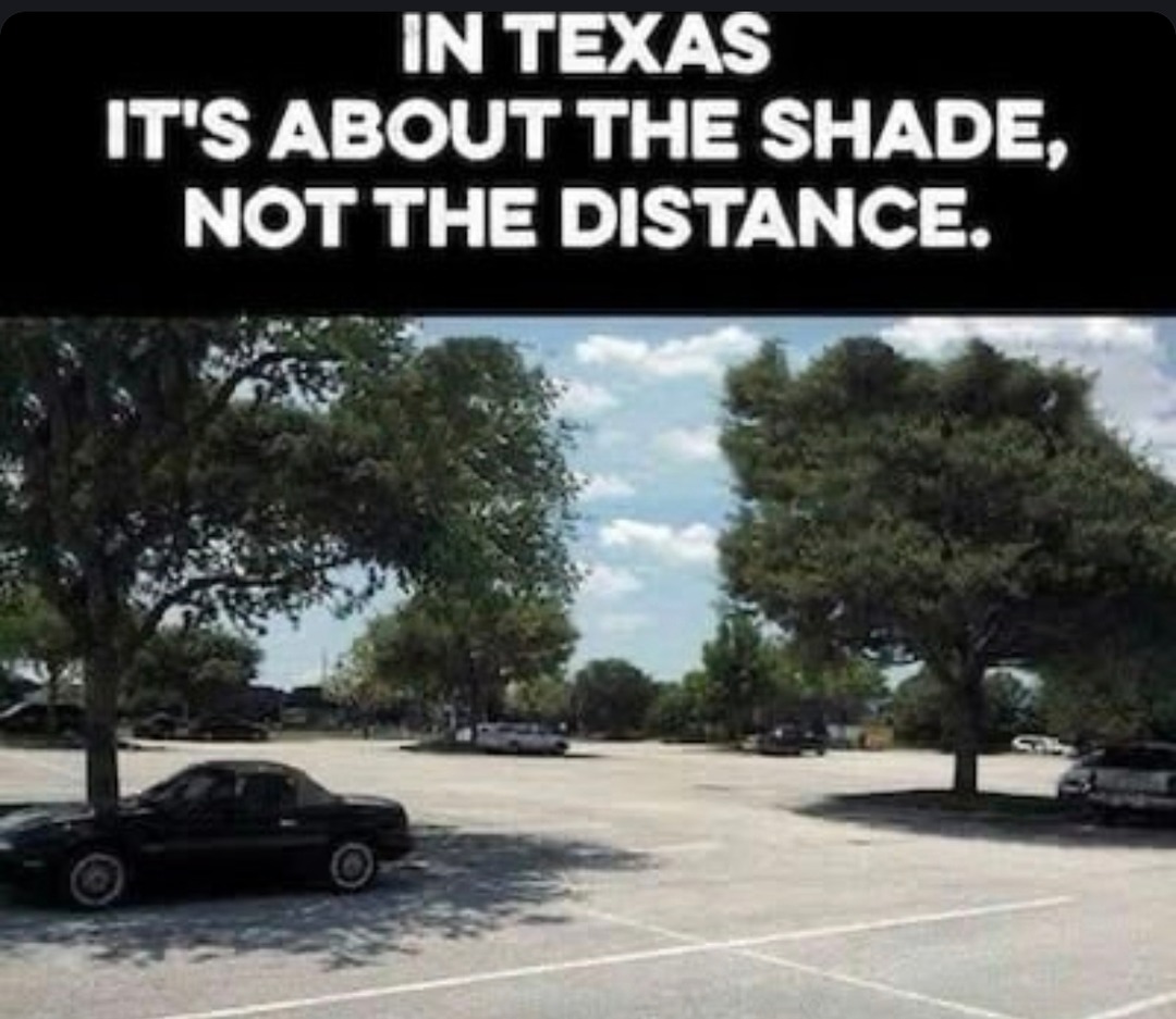 In Texas we don't walk for distance, we walk for shade - meme