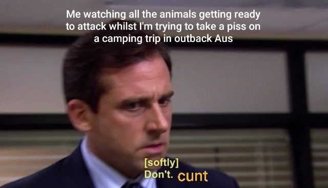 Fresh OC! Based on getting attacked by bull ants just now. Going camping with the missus and my two dogs! HAPPY NEW YEAR ALL - meme