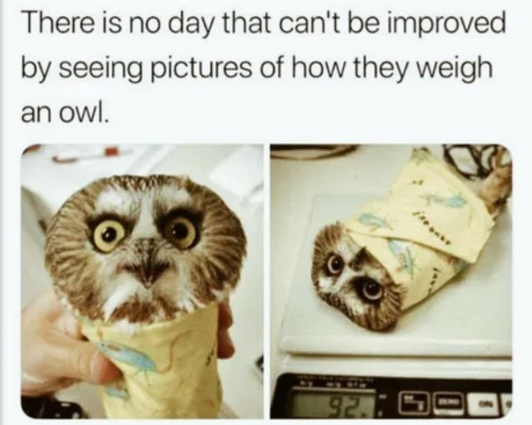 The weight - meme