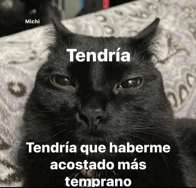 yo cada lunes por la mañana - meme