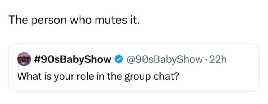 The one who mutes the group chat - meme