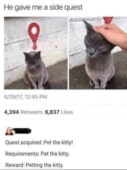kitty - meme
