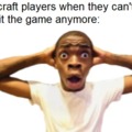 Minecraft players