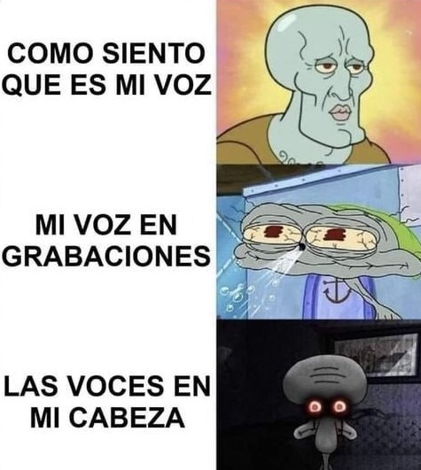 La percepción de tu propia voz - meme