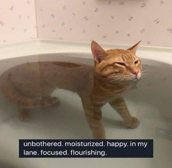 Unbothered. Moisturized. Thriving. You wish you were me - meme