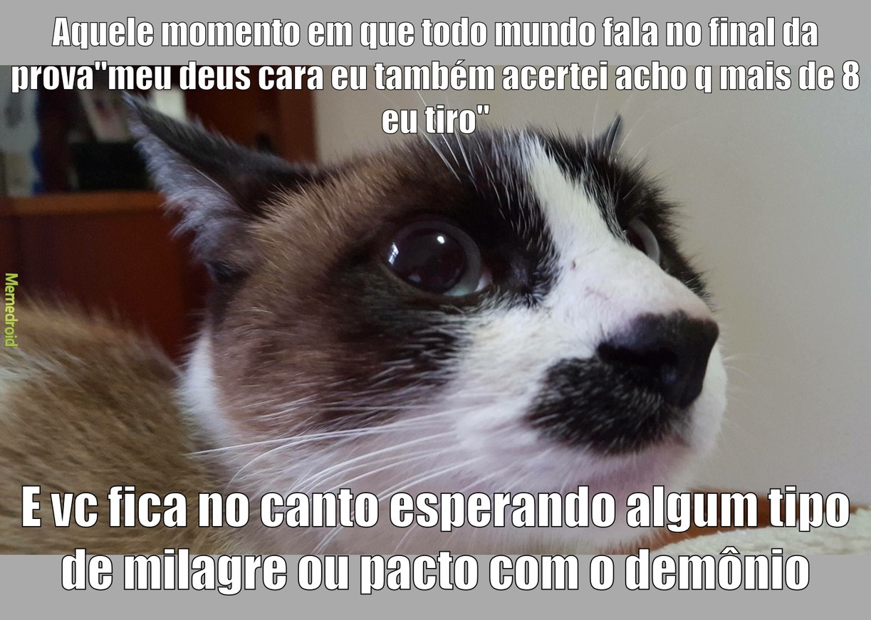 chorando - meme