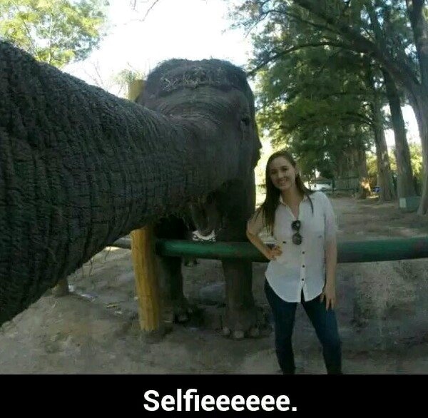 Selfie:) - meme