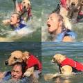 "Dog saves atheist's soul by emergency baptism."