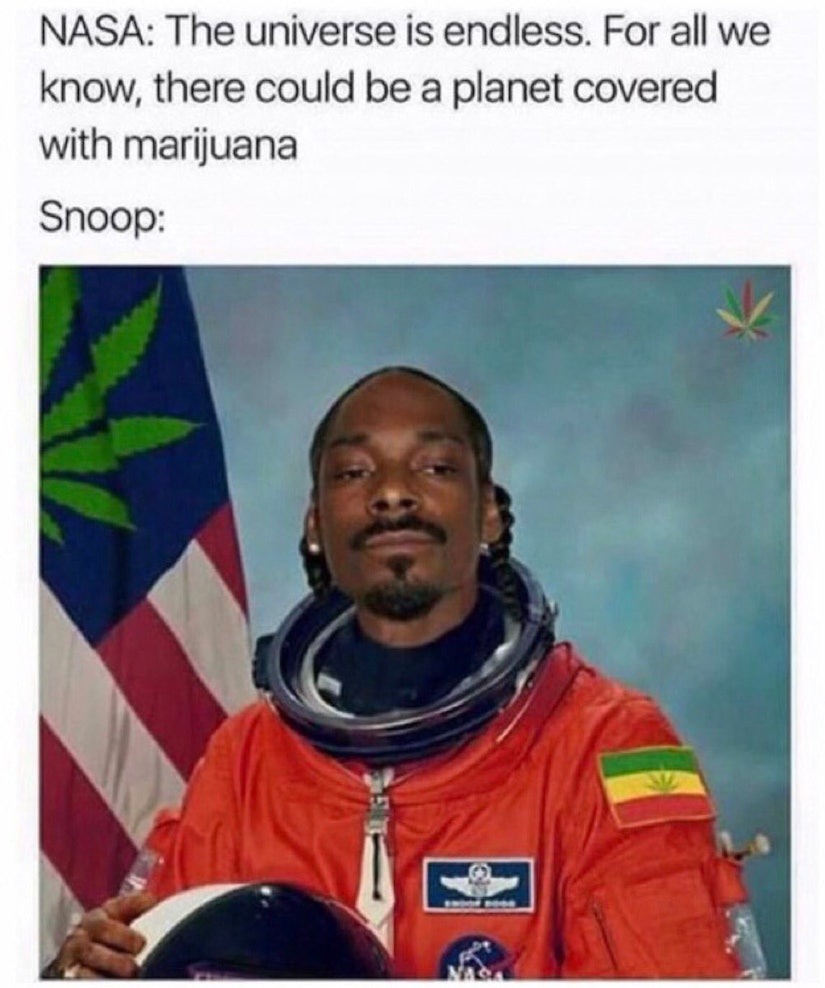Astronaut Dogg - meme