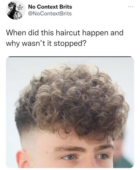 Sheep haircut - meme