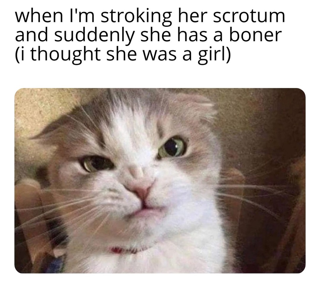 Damn tranny fooled me again - meme