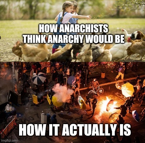 why not both - meme