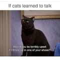 Cat language