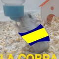 La Cobra bebiendo la copa sudamericana