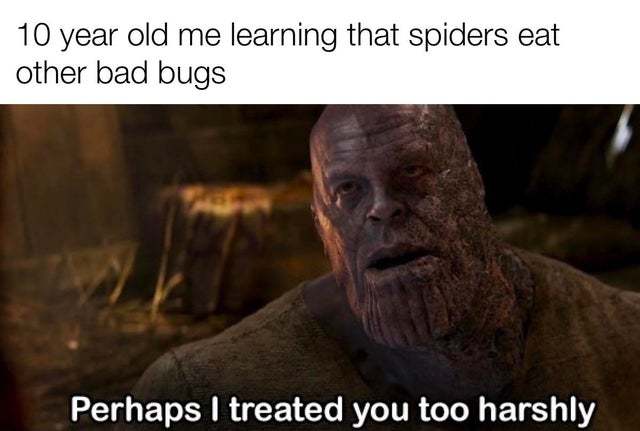 see bugs are that bad - meme