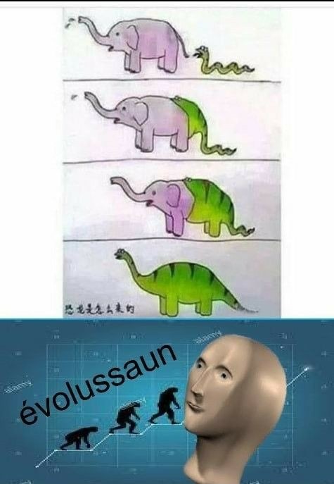 Èvolussaum - meme