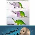 Èvolussaum